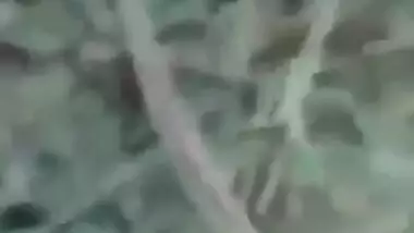 Jungle fun