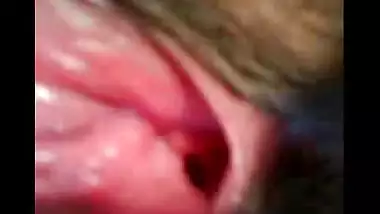 pussy dhow