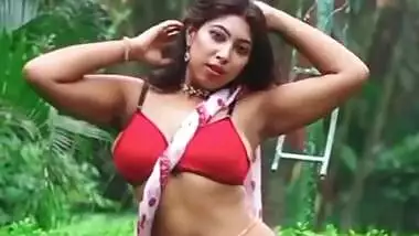 Saree Lovers